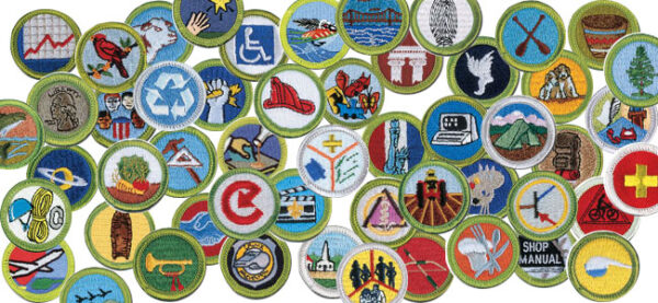 Summer Camp Merit Badge Status – Scout Troop 155