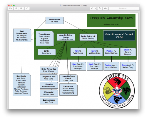 Troop Leadership Team